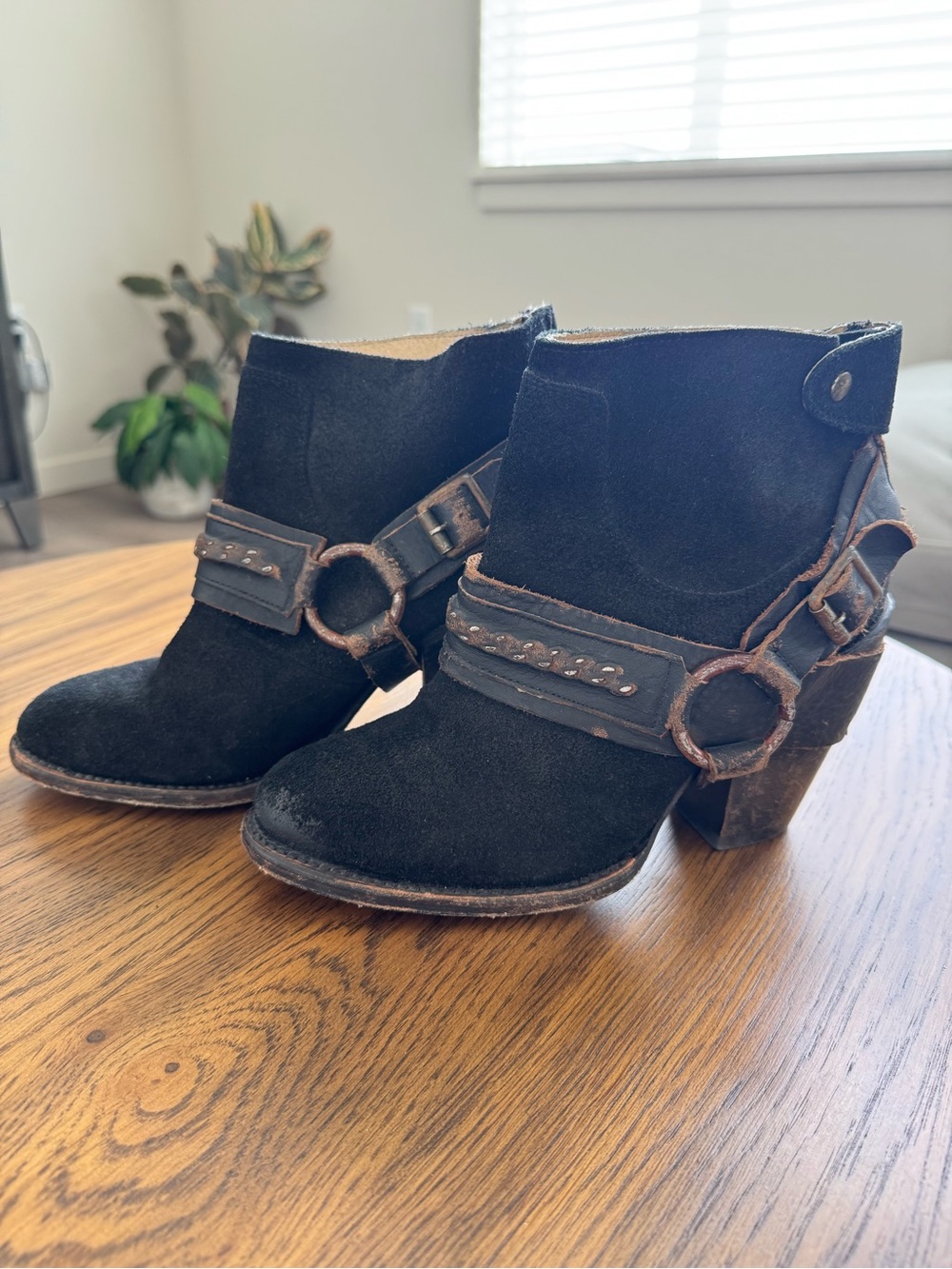 Freebird - Black Suede Ankle Booties with Studded Harness Detail